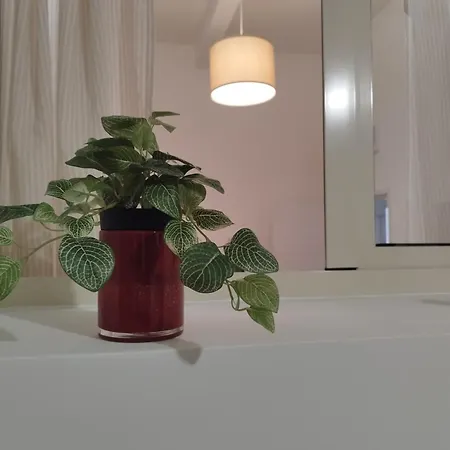 Dimora Saracina Vakantiehuis Catánia